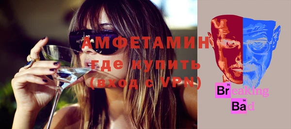 индика Аркадак