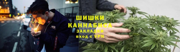 тгк Арсеньев