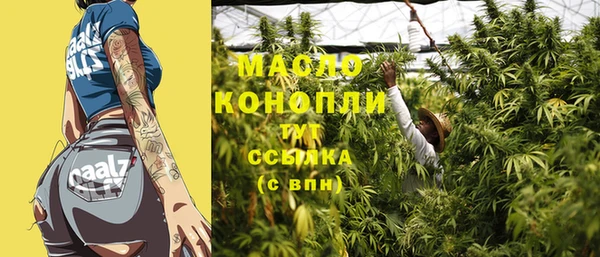 индика Аркадак