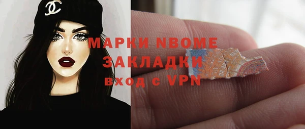 индика Аркадак