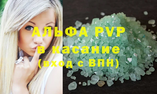 индика Аркадак