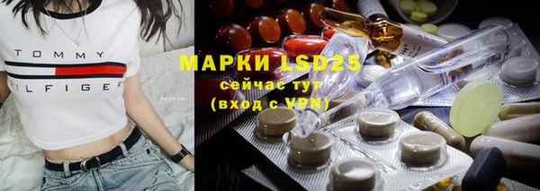 индика Аркадак