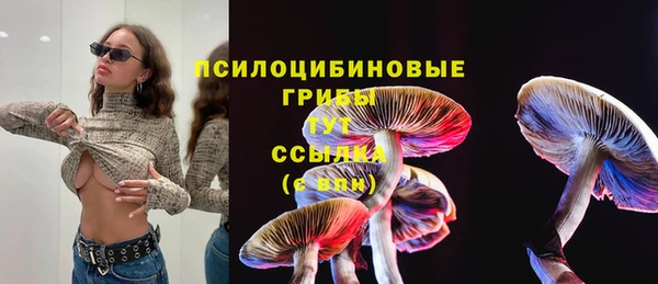 индика Аркадак