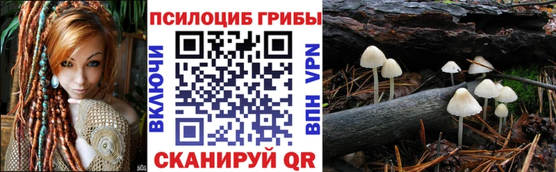 магазин  наркотиков  Урай  Галлюциногенные грибы Psilocybe 